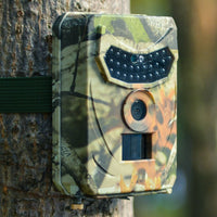 JPEG Trail Wildlife Camera 20MP IP65 Wireless Photo Capture